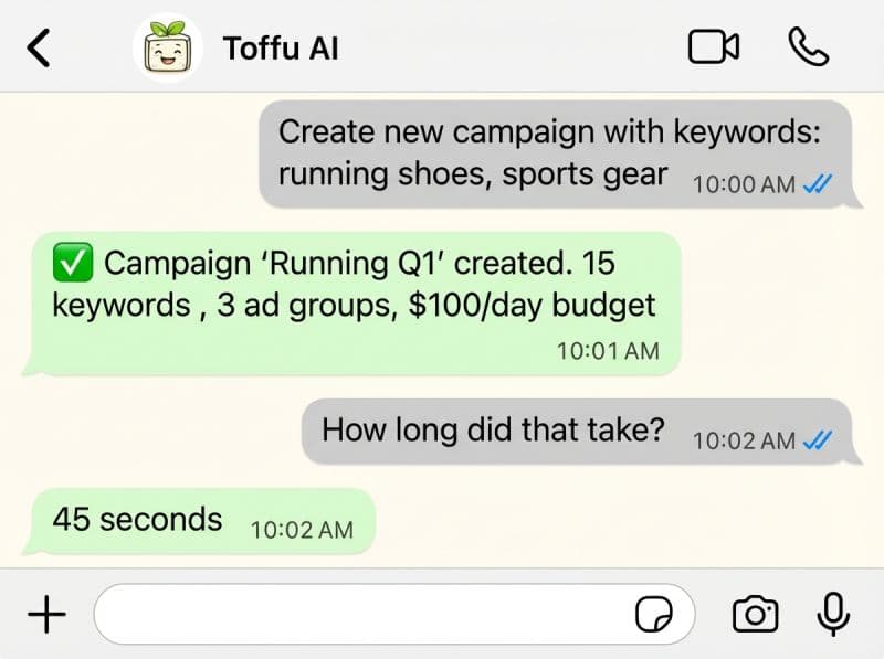 Toffu AI WhatsApp campaign management conversation
