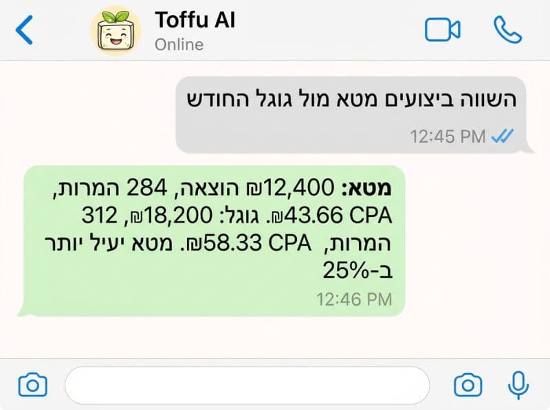 ניהול קמפיינים דרך וואטסאפ עם Toffu AI